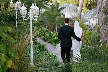 Les mariés marchent dans le parc de palmiers en front de mer