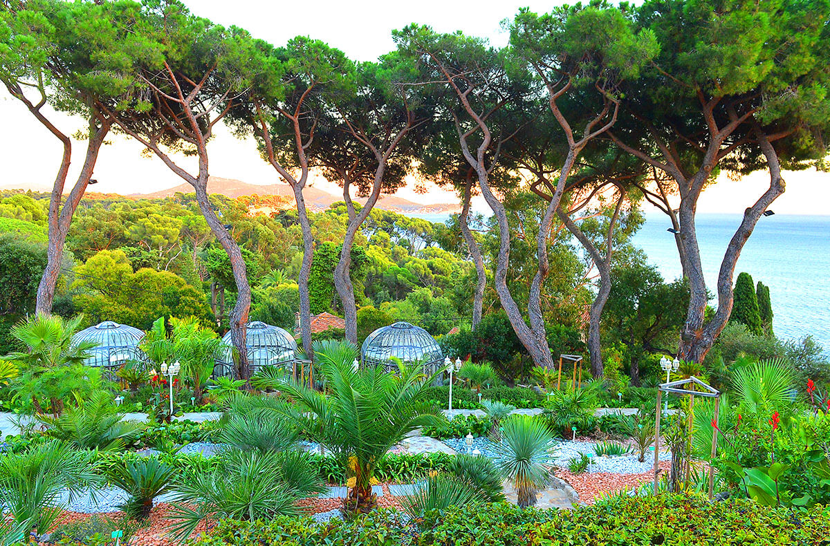 Cérémonie, vue jardins