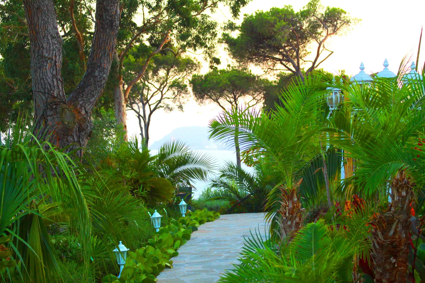 mariage bord mer bandol